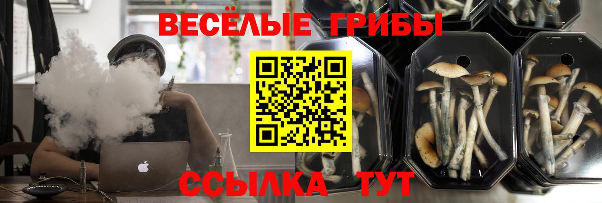 Галлюциногенные грибы мицелий  Вход с VPN  Углич 